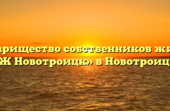 Товарищество собственников жилья «ТСЖ Новотроицк» в Новотроицком