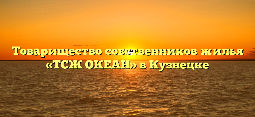Товарищество собственников жилья «ТСЖ ОКЕАН» в Кузнецке