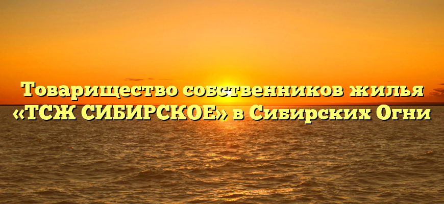 Товарищество собственников жилья «ТСЖ СИБИРСКОЕ» в Сибирских Огни