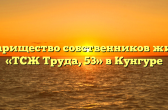 Товарищество собственников жилья «ТСЖ Труда, 53» в Кунгуре