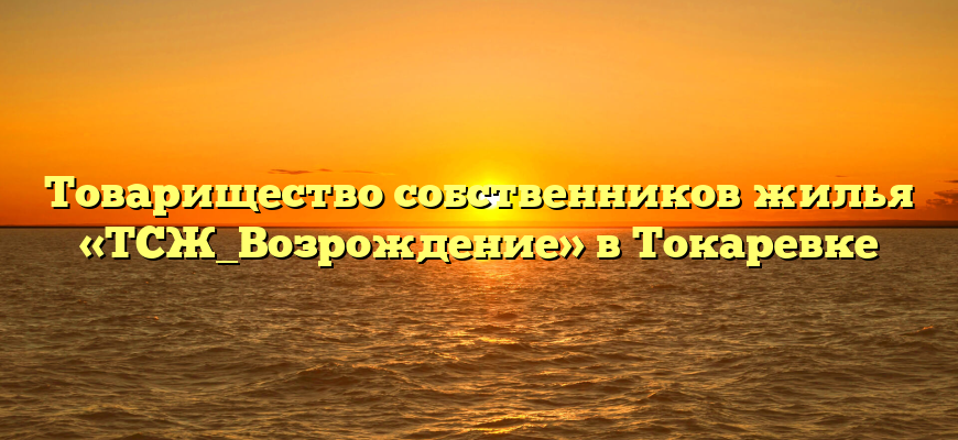 Товарищество собственников жилья «ТСЖ_Возрождение» в Токаревке