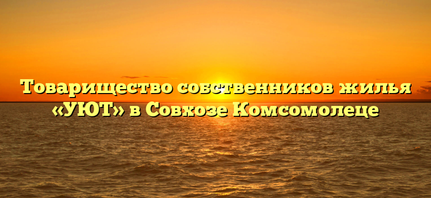 Товарищество собственников жилья «УЮТ» в Совхозе Комсомолеце