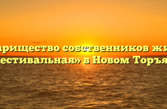 Товарищество собственников жилья «Фестивальная» в Новом Торъяле