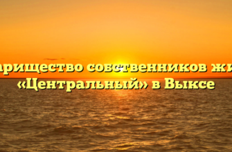 Товарищество собственников жилья «Центральный» в Выксе