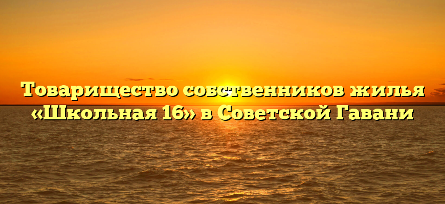 Товарищество собственников жилья «Школьная 16» в Советской Гавани