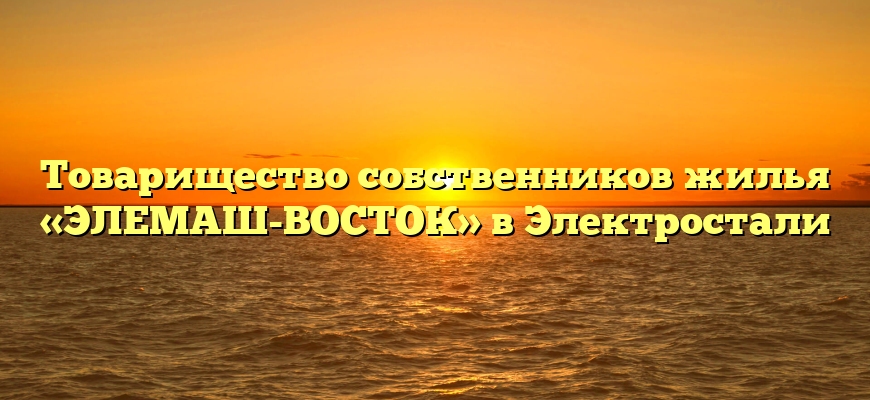 Товарищество собственников жилья «ЭЛЕМАШ-ВОСТОК» в Электростали