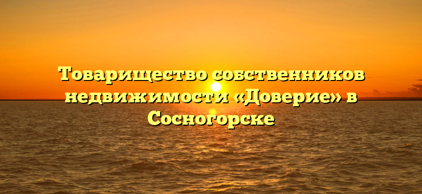 Товарищество собственников недвижимости «Доверие» в Сосногорске