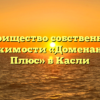 Товарищество собственников недвижимости «Доменант-Урал Плюс» в Касли