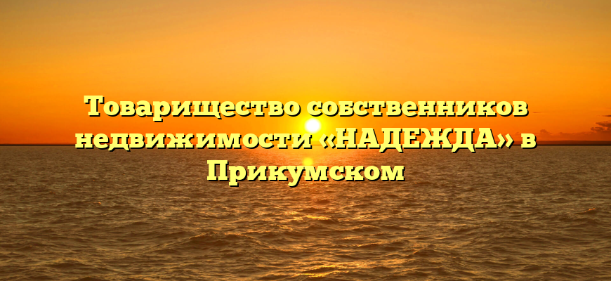 Товарищество собственников недвижимости «НАДЕЖДА» в Прикумском