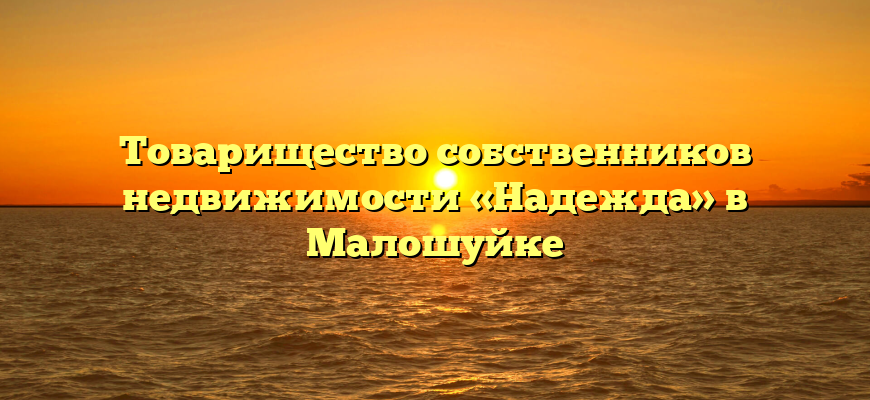 Товарищество собственников недвижимости «Надежда» в Малошуйке