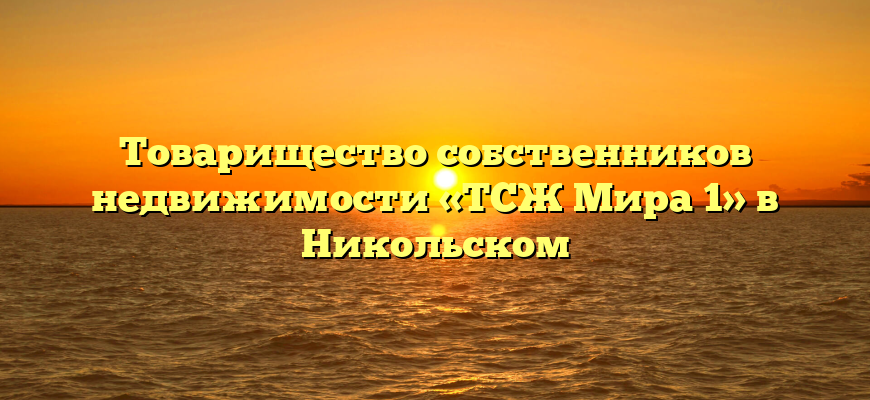 Товарищество собственников недвижимости «ТСЖ Мира 1» в Никольском