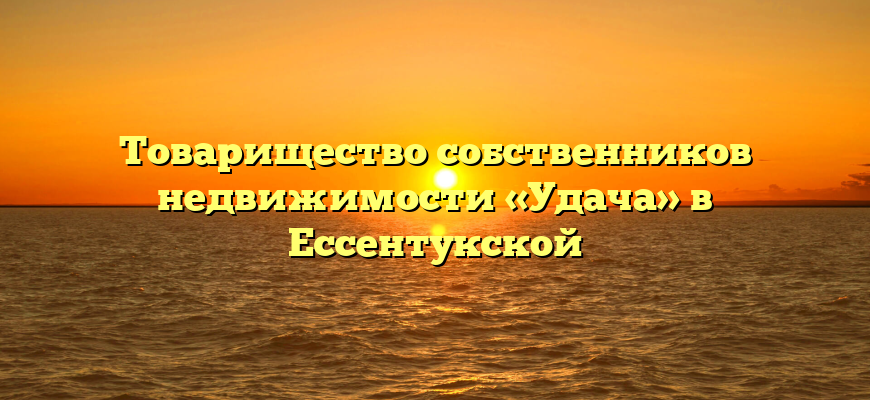 Товарищество собственников недвижимости «Удача» в Ессентукской