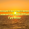 Товарищество собственников недвижимости «ШКОЛЬНАЯ 6» в Грузине