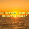 «Трек» или «трэк» — как правильно пишется слово?