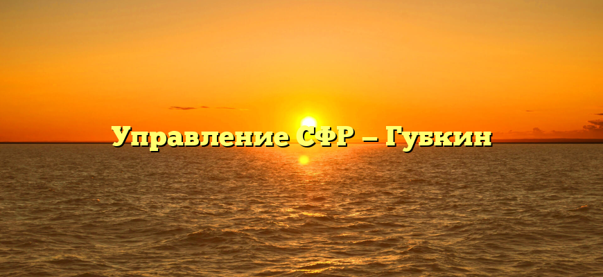 Управление СФР — Губкин