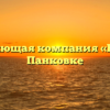 Управляющая компания «Вече-6» в Панковке