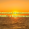 Управляющая компания «ДОМ ПЛЮС» в Вороновской