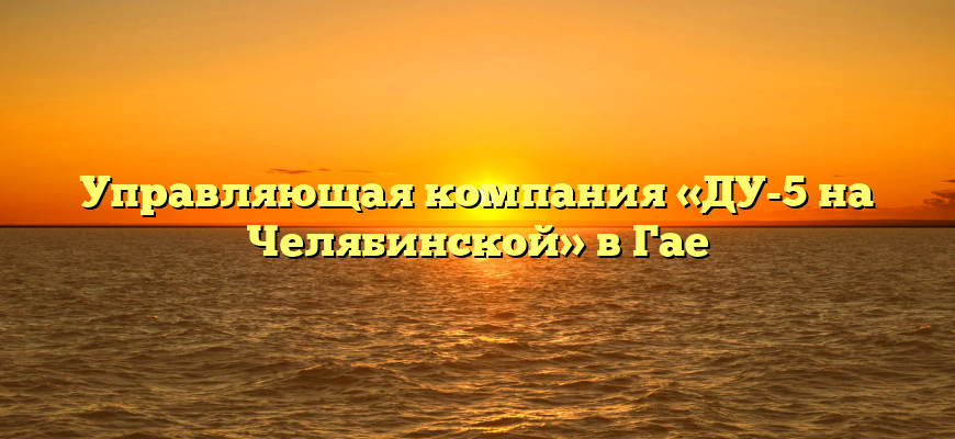 Управляющая компания «ДУ-5 на Челябинской» в Гае