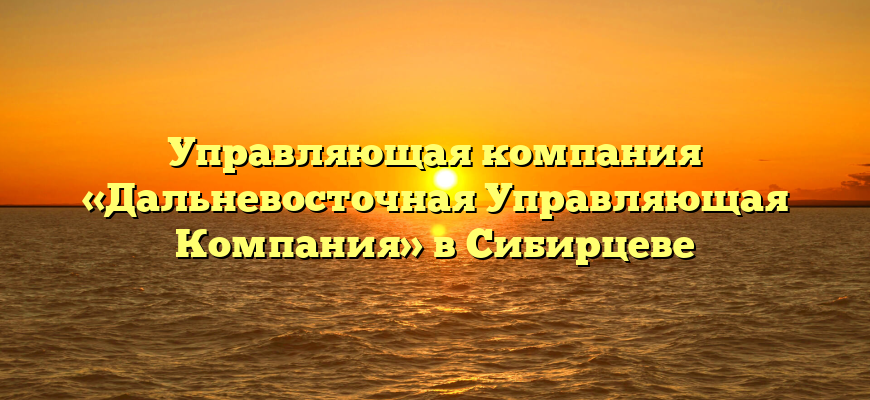 Управляющая компания «Дальневосточная Управляющая Компания» в Сибирцеве