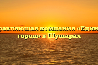 Управляющая компания «Единый город» в Шушарах