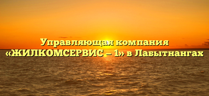 Управляющая компания «ЖИЛКОМСЕРВИС — 1» в Лабытнангах