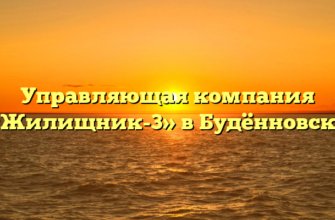 Управляющая компания «Жилищник-3» в Будённовске