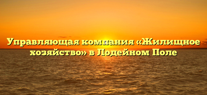 Управляющая компания «Жилищное хозяйство» в Лодейном Поле