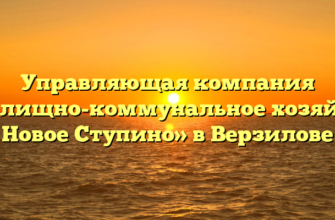 Управляющая компания «Жилищно-коммунальное хозяйство Новое Ступино» в Верзилове