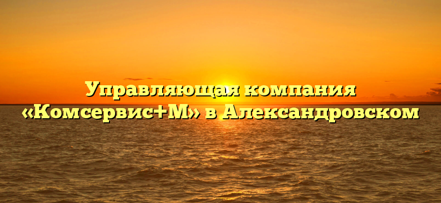 Управляющая компания «Комсервис+М» в Александровском