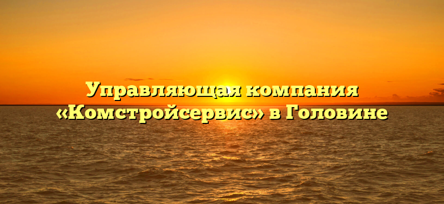 Управляющая компания «Комстройсервис» в Головине