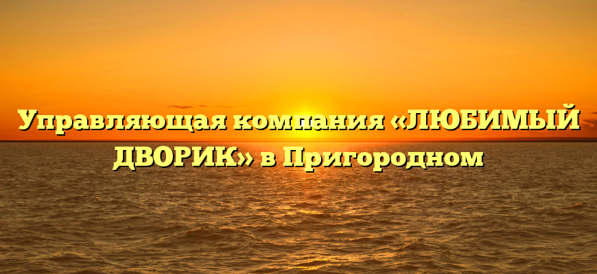 Управляющая компания «ЛЮБИМЫЙ ДВОРИК» в Пригородном