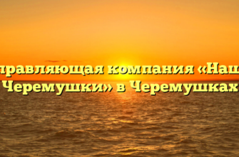 Управляющая компания «Наши Черемушки» в Черемушках