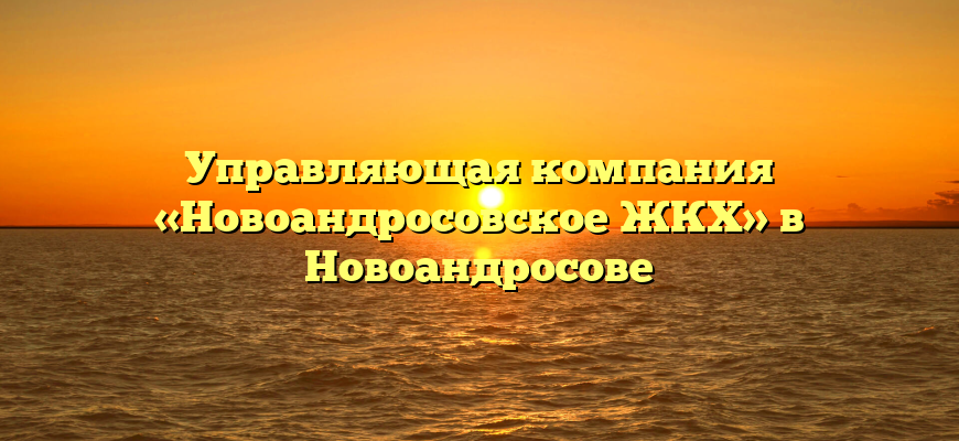 Управляющая компания «Новоандросовское ЖКХ» в Новоандросове