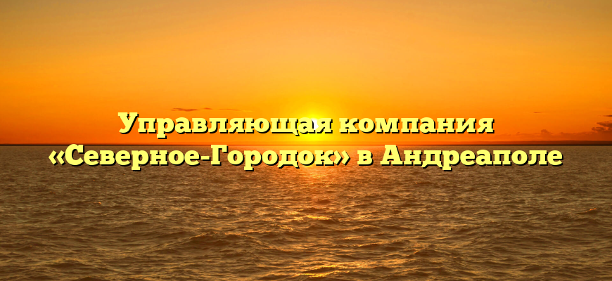 Управляющая компания «Северное-Городок» в Андреаполе