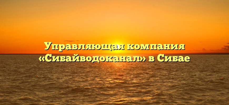 Управляющая компания «Сибайводоканал» в Сибае