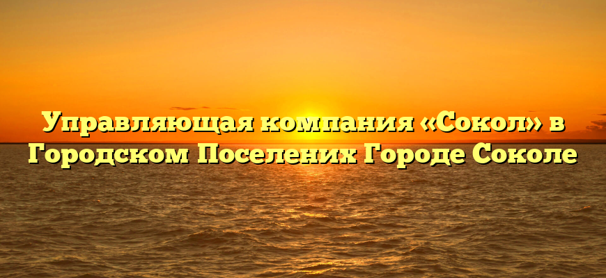 Управляющая компания «Сокол» в Городском Поселених Городе Соколе