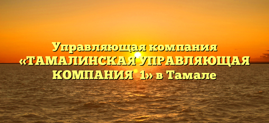 Управляющая компания «ТАМАЛИНСКАЯ УПРАВЛЯЮЩАЯ КОМПАНИЯ №1» в Тамале