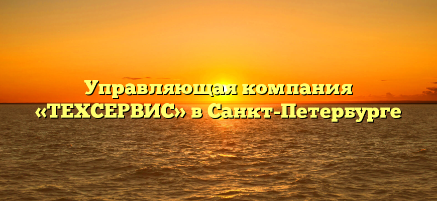 Управляющая компания «ТЕХСЕРВИС» в Санкт-Петербурге