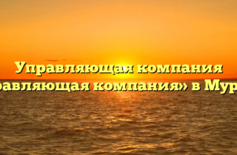 Управляющая компания «Управляющая компания» в Мураши