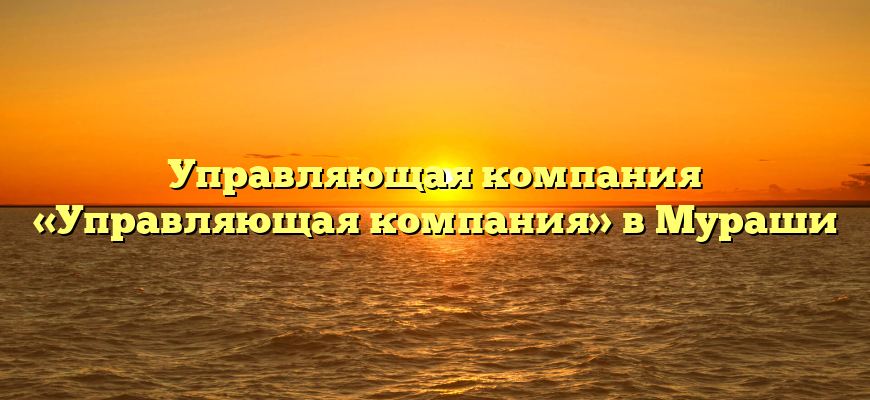 Управляющая компания «Управляющая компания» в Мураши