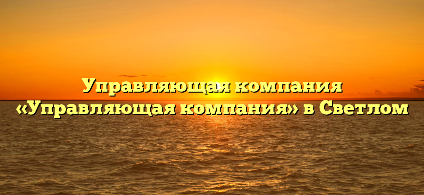 Управляющая компания «Управляющая компания» в Светлом