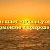 «Что мешает человеку обрести гармонию с природой»