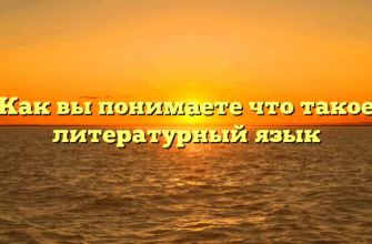 Как вы понимаете что такое литературный язык