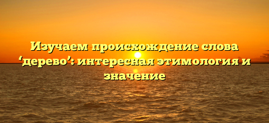 Изучаем происхождение слова ‘дерево’: интересная этимология и значение