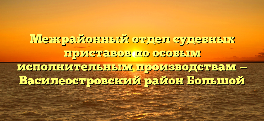 Межрайонный отдел судебных приставов по особым исполнительным производствам — Василеостровский район Большой