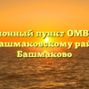 Миграционный пункт ОМВД России по Башмаковскому району Башмаково