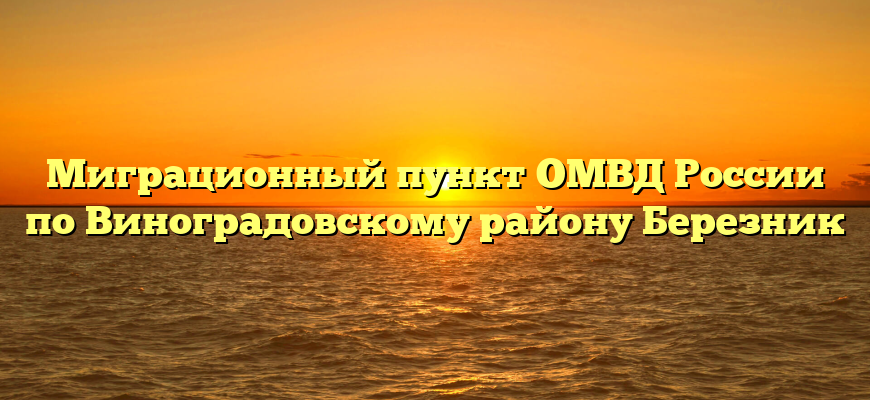 Миграционный пункт ОМВД России по Виноградовскому району Березник