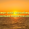 «Не пойму» или «непойму» — как правильно пишется слово?