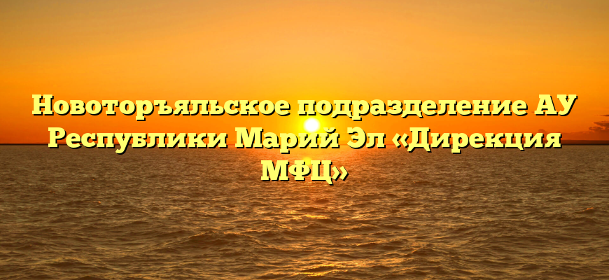 Новоторъяльское подразделение АУ Республики Марий Эл «Дирекция МФЦ»
