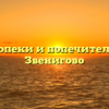 Отдел опеки и попечительства — Звенигово